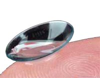 Contacts for the Elderly 长者联络服务