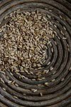 hemp_protein_grain-1087010_r_200