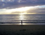 jogger_at_beach-r_200