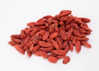 什么是枸杞子？