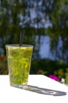 mint_tea-r_200