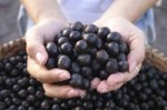 health_benefits-of_acai_berries-r_200